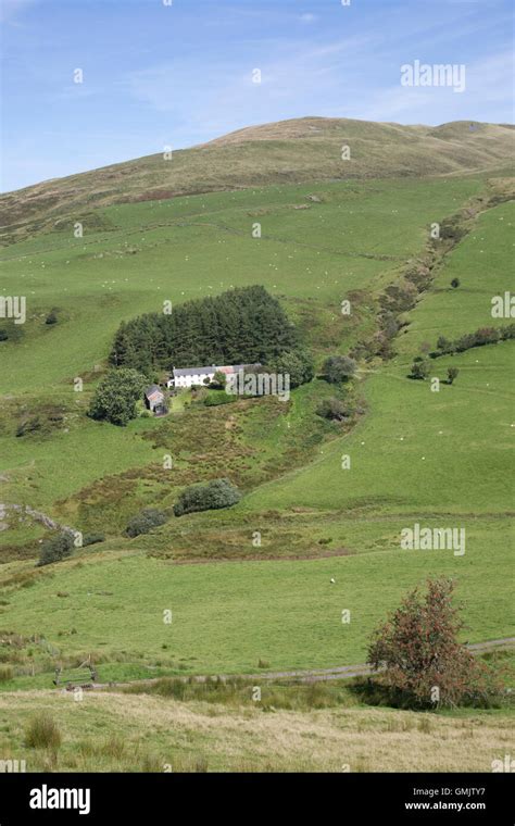 Small Welsh hill farm in mountains near Pantglas Ceredigion Mid Wales ...