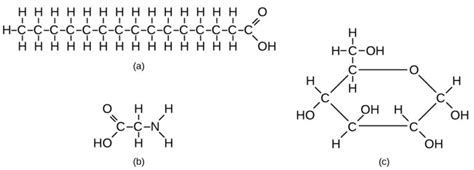 Carbon and Carbon Bonding / Biology for Non-Majors I | Mark's Trackside