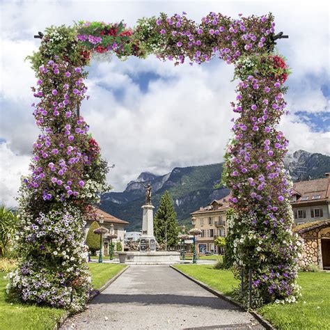 Garden Wedding Rose Arch Pergola Archway Flowers Climbing Plants Trellis Metal | Walmart Canada