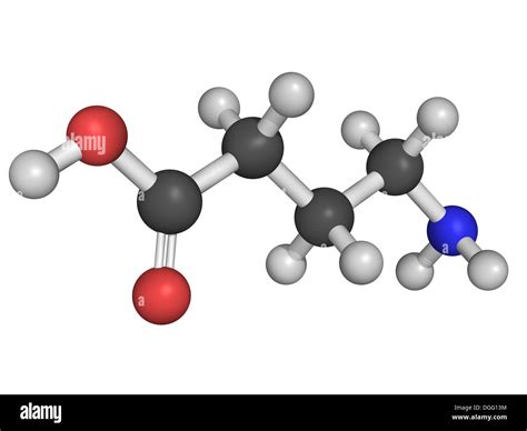 Chemical structure of gamma-aminobutyric acid (GABA), chief Stock Photo: 61817720 - Alamy