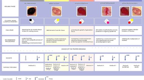 Sacral Pressure Ulcer Treatment - Ulcer Choices