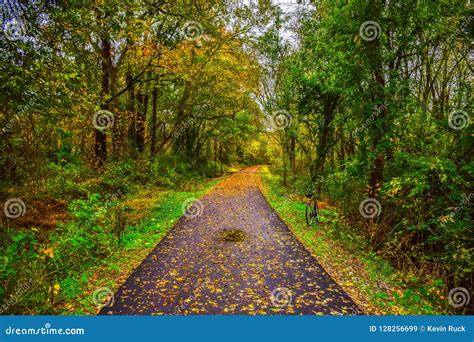 Swamp Rabbit Trail in Greenville South Carolina SC Stock Image - Image ...