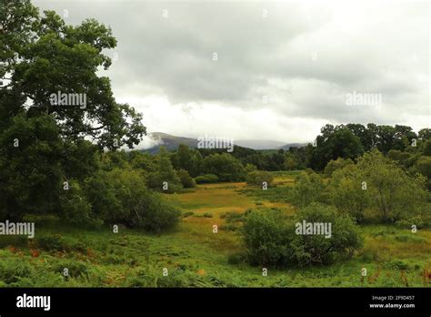 In and around Loch Insh Stock Photo - Alamy