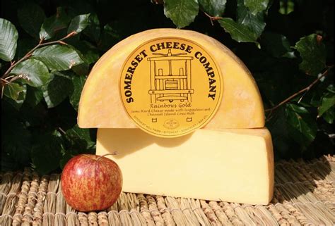 I Tried The 5 Smelliest Cheeses In The World, And Here's How They Tasted