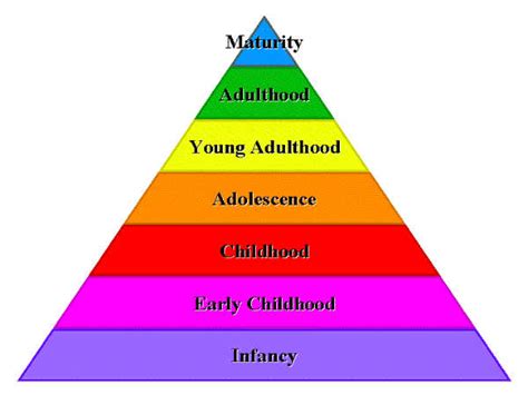 Online Course On Introduction To Developmental Psychology - Careerindia