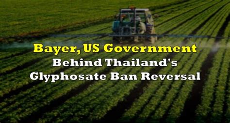 Bayer, US Government Behind Thailand's Glyphosate Ban Reversal | the deep dive