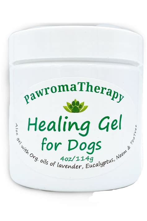 How to Treat Hot Spots in Dogs Naturally - PawromaTherapy