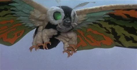 Mothra Leo | Godzilla, All godzilla monsters, Kaiju