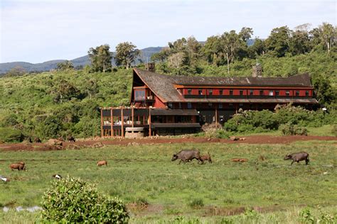 The Ark Lodge (Nyeri) - 2024 Prices/Rates - Contacts to Book