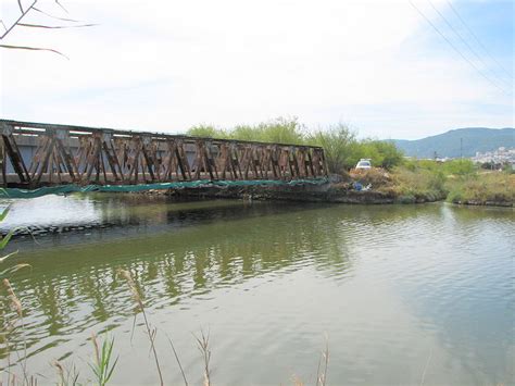 The Kishon River Goes from Sewage and Industrial Waste Canal to Nature ...