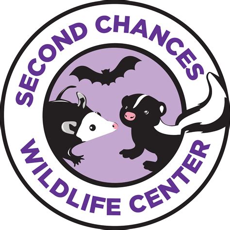 pig | Second Chances Wildlife Center