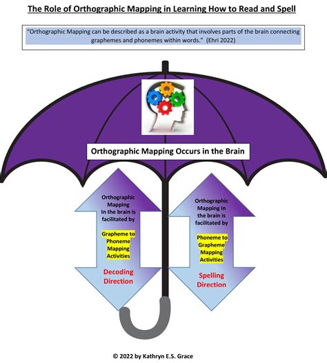 The Role of Orthographic Mapping in Learning to Read and Spell - Phoneme-GraphemeMapping.com