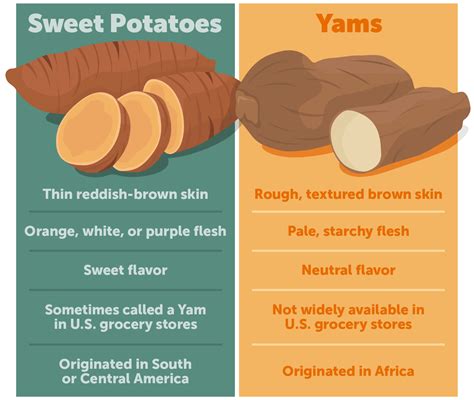 Sweet Potato vs Yam: What's the Difference? | Yams vs sweet potatoes, Yellow sweet potato, Paleo ...