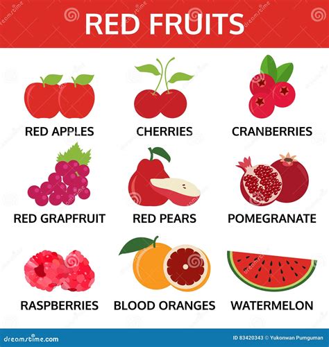 Red Fruits Collection, Food Vector Illustration Stock Vector ...