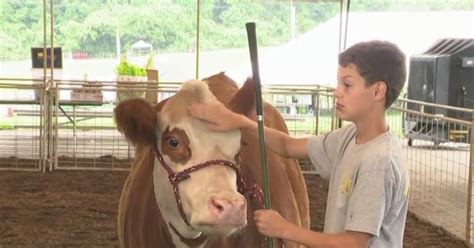 Harford County Farm Fair celebrating local agricultural heritage - CBS ...