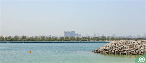 Al Reem Island – Area, Neighbourhood & Lifestyle » Bayut™