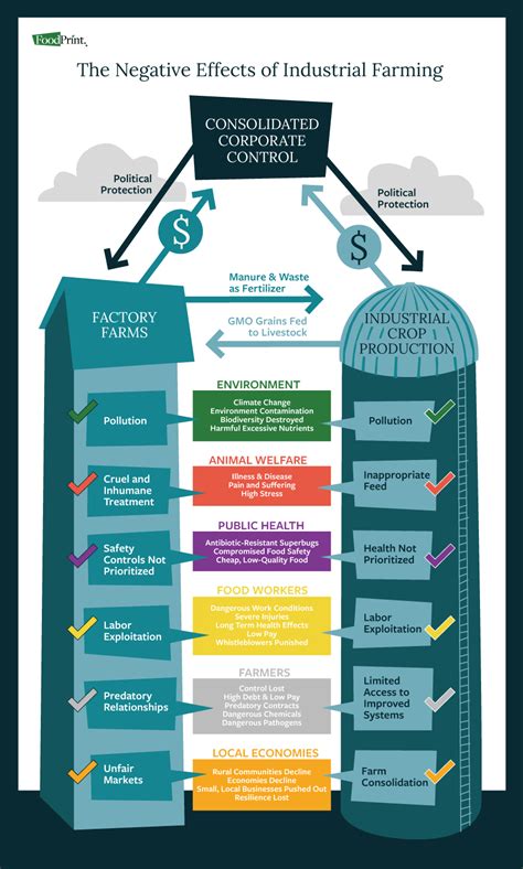 The Big Industrial Food System - An Infographic - FoodPrint