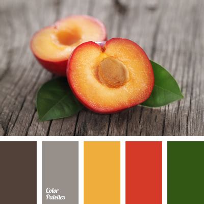 color of apricot | Color Palette Ideas