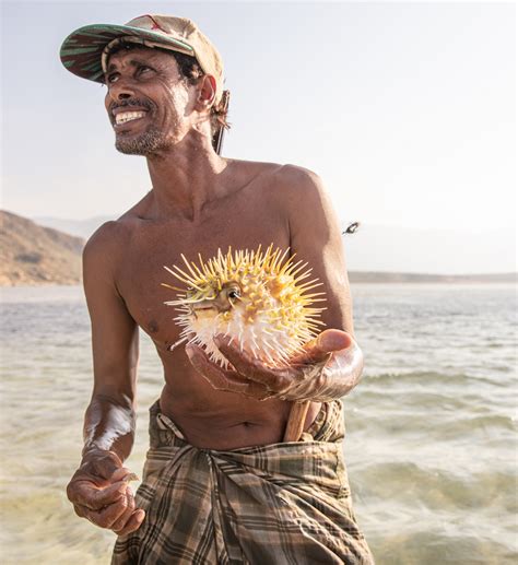 Impressions of Socotra: a photo story | Bradt Guides