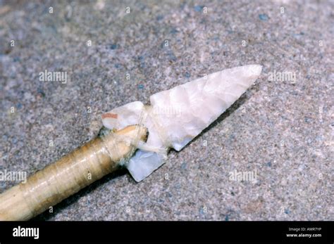 A flint arrow head attached to a willow arrow with deer sinew handmade by Tony Nester of Ancient ...