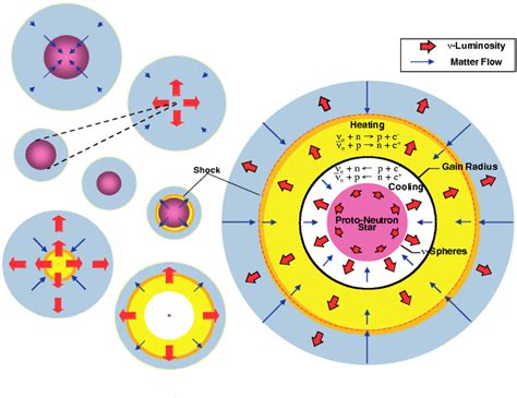 Supernova Explosion Diagram