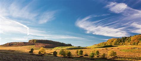 Bradgate Park by Photo By Alan R Harris