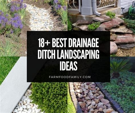 18+ Best Drainage Ditch Landscaping Ideas & Designs For Your Yard