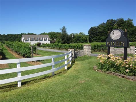 Gray Ghost Vineyards | Amissville VA