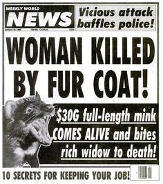 Bizarre Tabloid Headlines