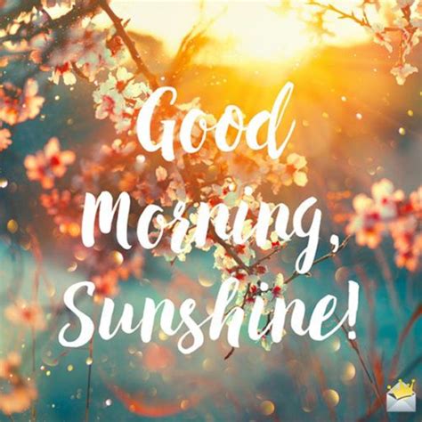 Good Morning Sunshine Wallpapers on WallpaperDog