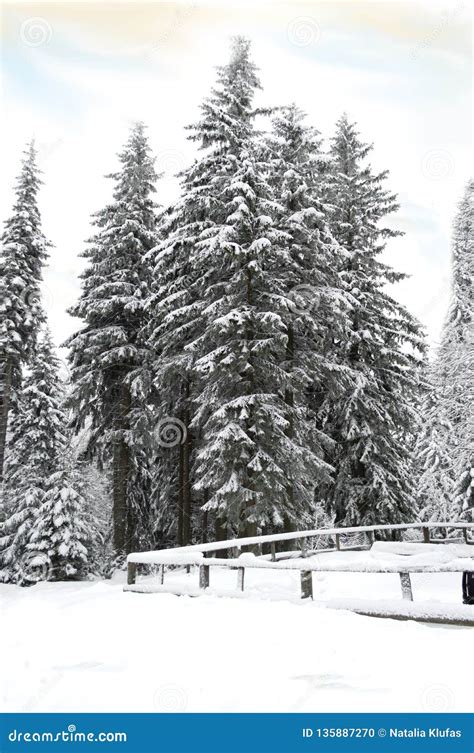 Winter in Polish mountains stock photo. Image of karpacz - 135887270