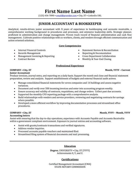 Professional Accounting Resume Sample