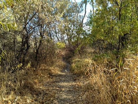 Dan's Hiking Blog: Hiking in Billings, Montana - November 4-8, 2014