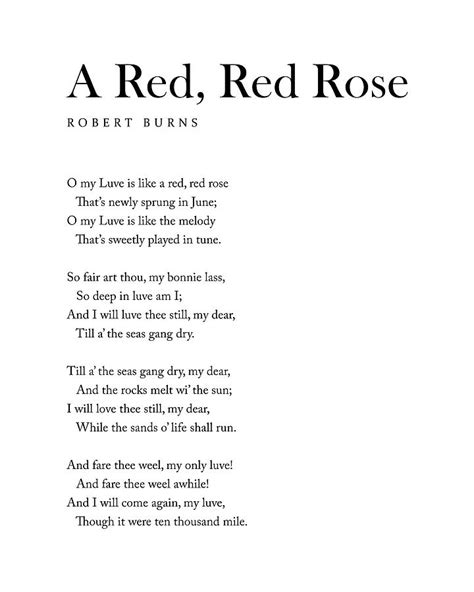 A Red, Red Rose - Robert Burns Poem - Literature - Typography Print 2 Digital Art by Studio ...