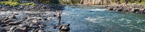 Gallatin River Fly Fishing Trips, Guides and Lodges