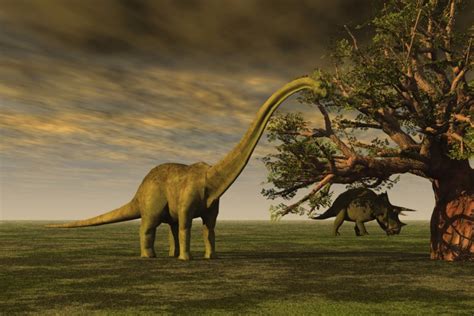 Scientists Say They Can Recreate Living Dinosaurs Within the Next 5 Years