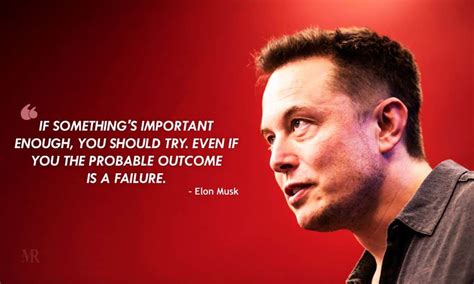 Best business elon musk quotes