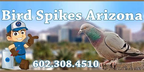 How To Install Bird Spikes | Bills Pest & Termite