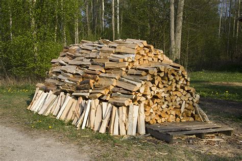 Wood Stacks and Stone Walls: The Calming Beauty of Simple Things