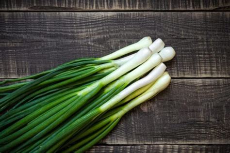 Spring Onions: Harvesting, Storing And Preserving - Gardender