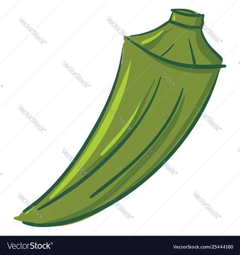 Green okra or color Royalty Free Vector Image - VectorStock