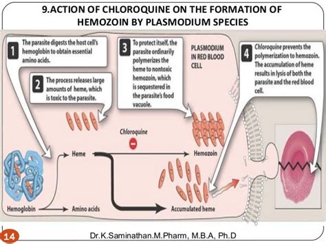 9.ANTIPROTOZOAL DRUGS