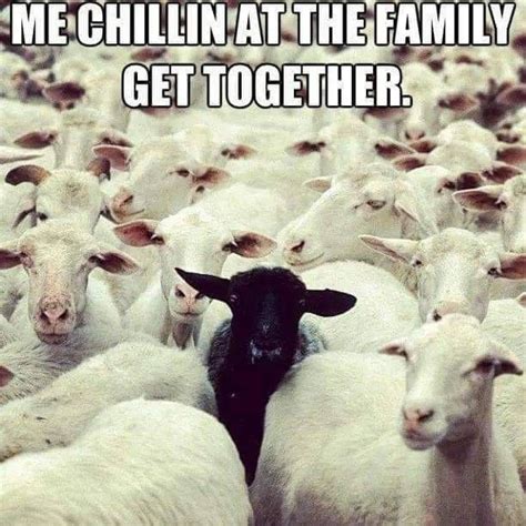 Pin by Jessica Franklin on !Humor Me! | Black sheep quotes, Black sheep of the family, Sheep quote