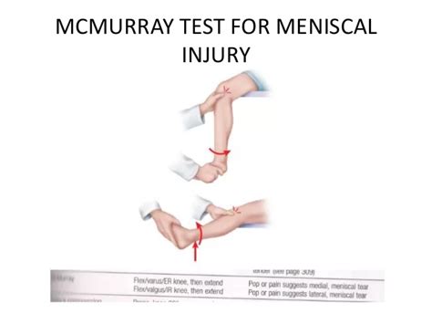 Knee Joint: Anatomy, Function, Importance, Exercise