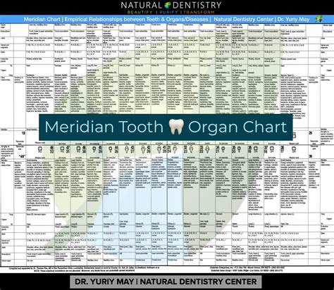 Tooth Energy Meridian Chart