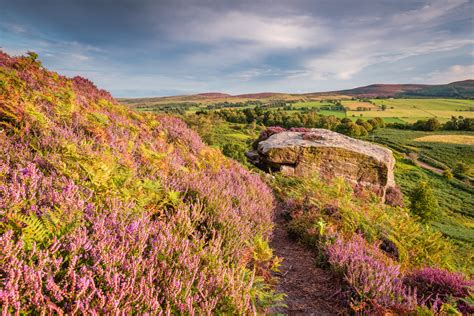 A hiker's paradise: 5 of the best Northumberland walks