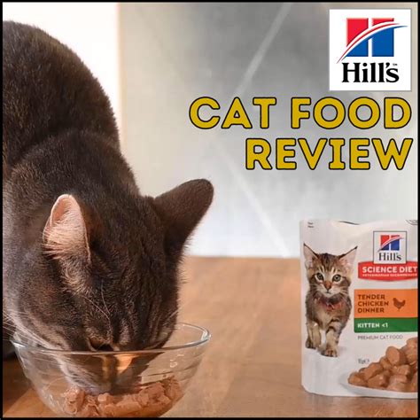 Hills Science Diet Cat Food Review in 2023: Healthy Choice?