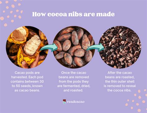 Cacao nibs: What are they and how do you use them? - ReadCacao