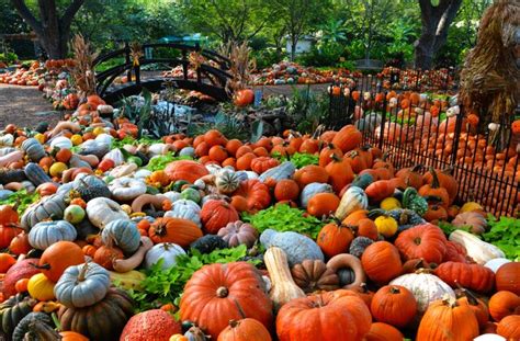 The 26 Best Fall Festivals in the U.S.