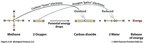 redox - In a combustion reaction, why is carbon in methane oxidised even though it starts and ...